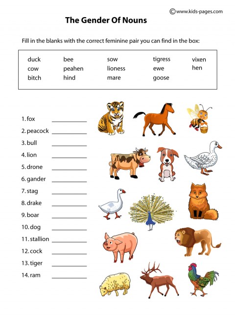 Animals Gender Worksheet