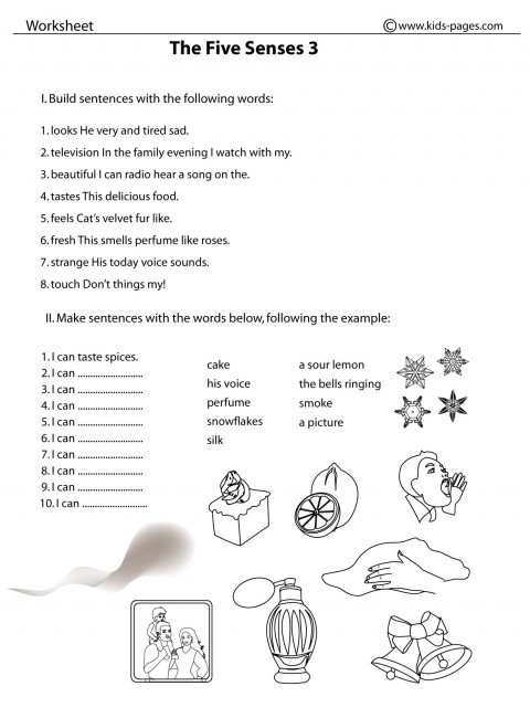 The Five Senses 3 B w Worksheet